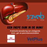 SAVAB presenteert: Een diepe duik in de buik!